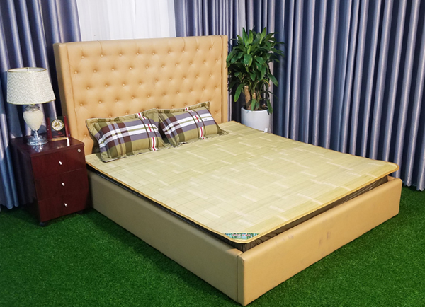 chiếu trúc tại Thái Bình
